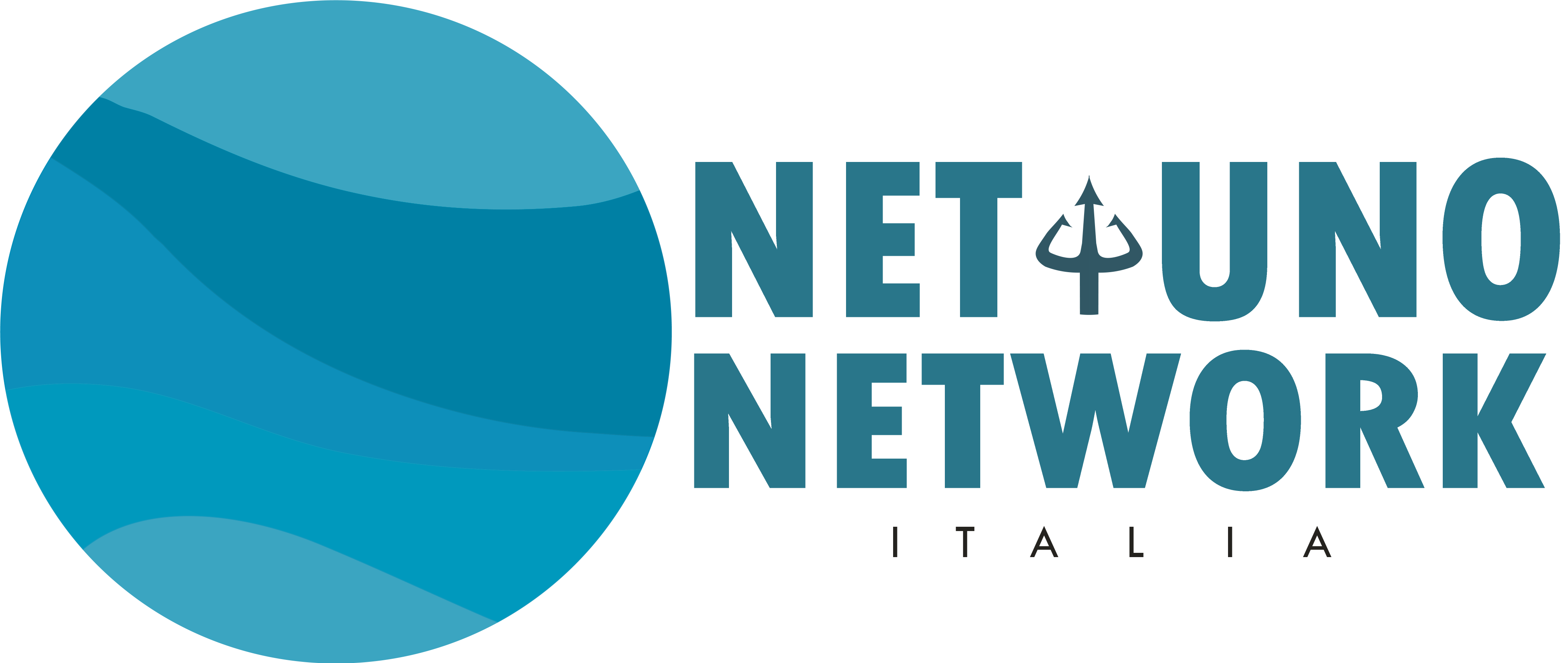 NET1NETWORK